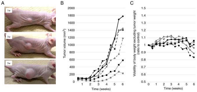 Figure 2.