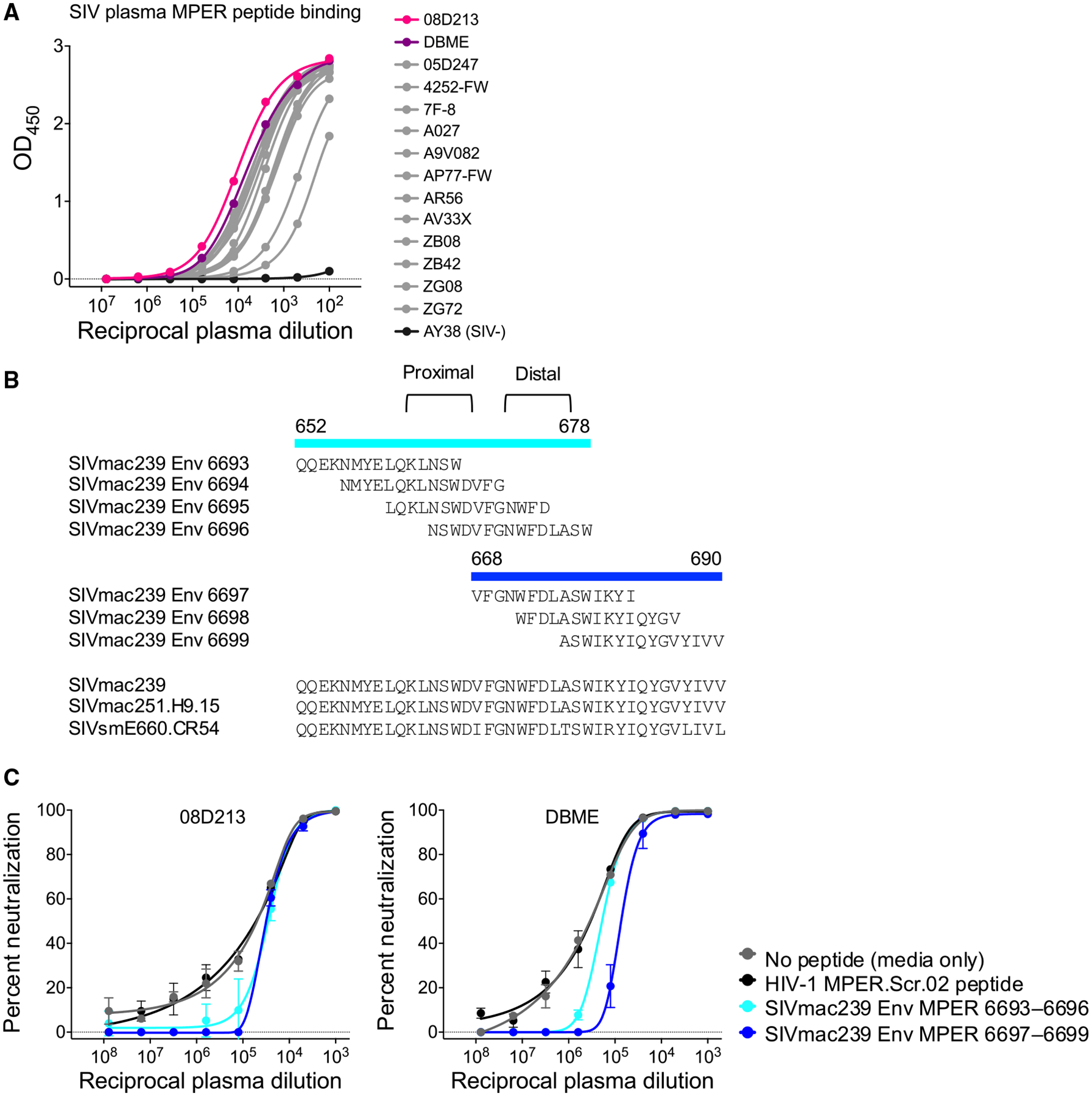 Isolation and structure of broad SIV-neutralizing antibodies reveal a ...