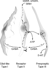Figure 8.