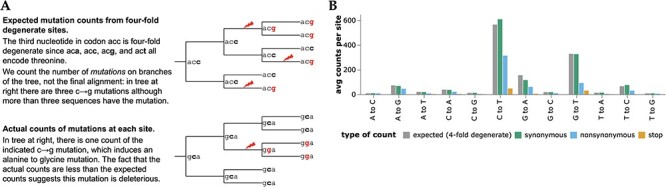 Figure 1.