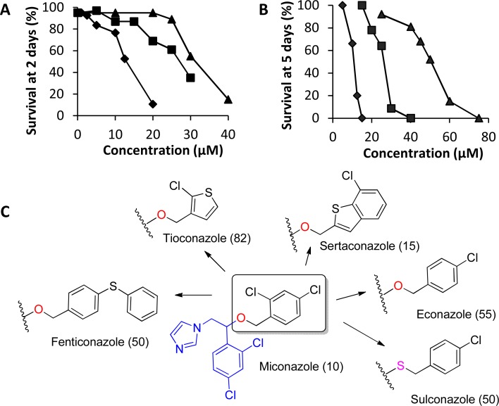 Fig 6