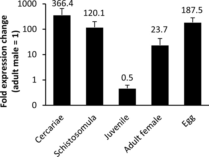 Fig 4