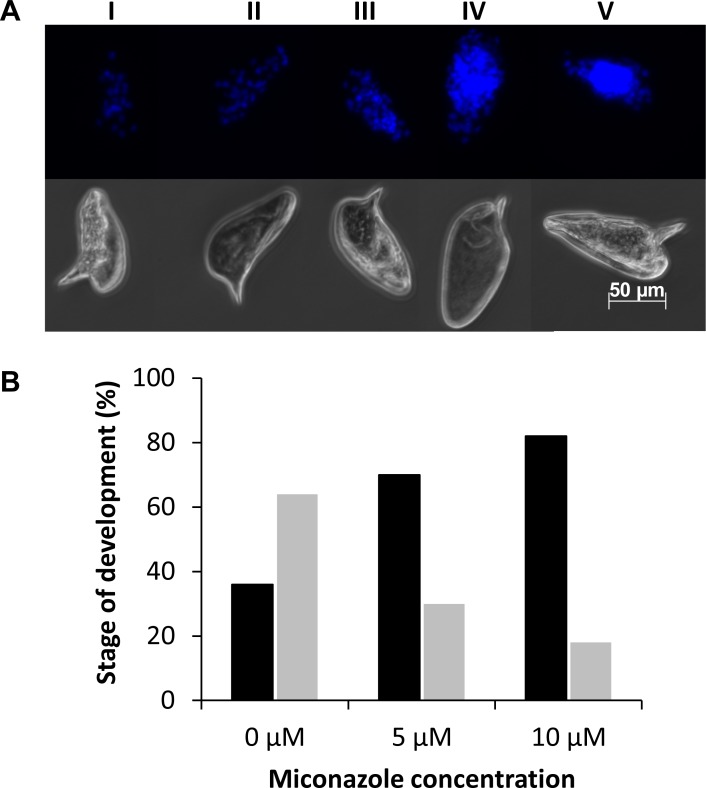 Fig 8