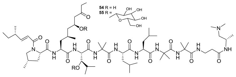 Figure 21