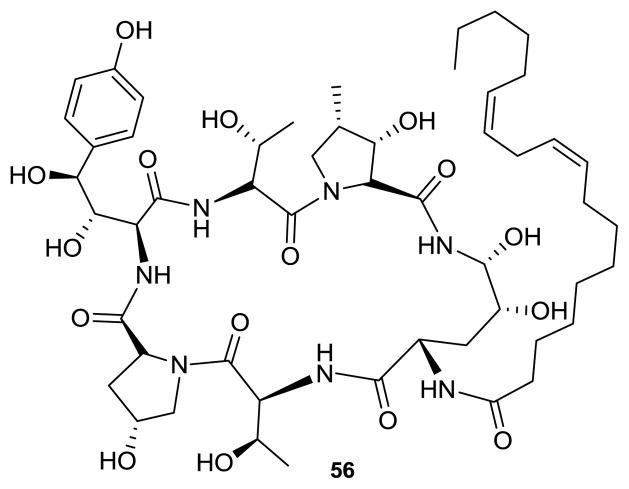 Figure 22