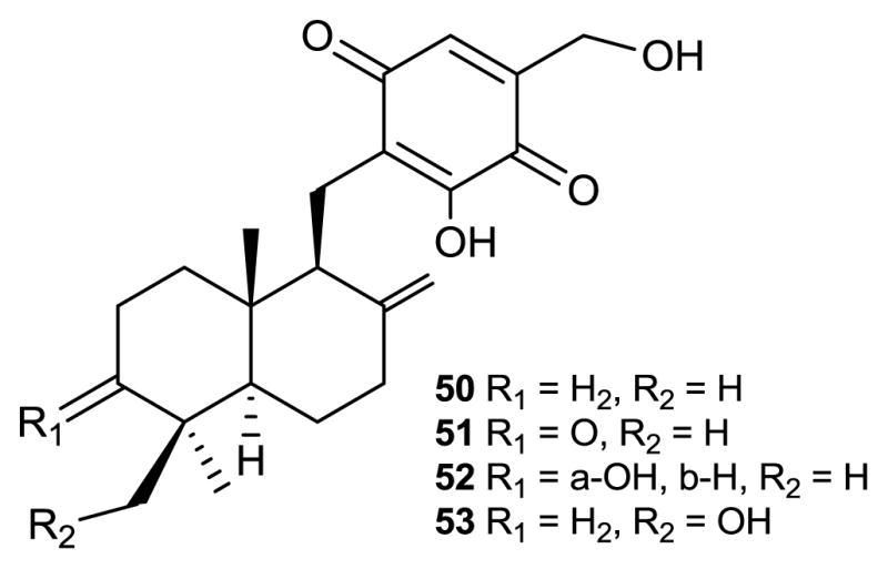 Figure 20