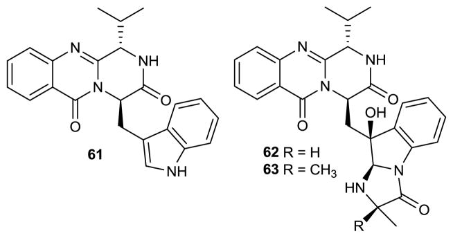 Figure 25