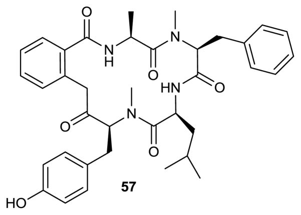 Figure 23