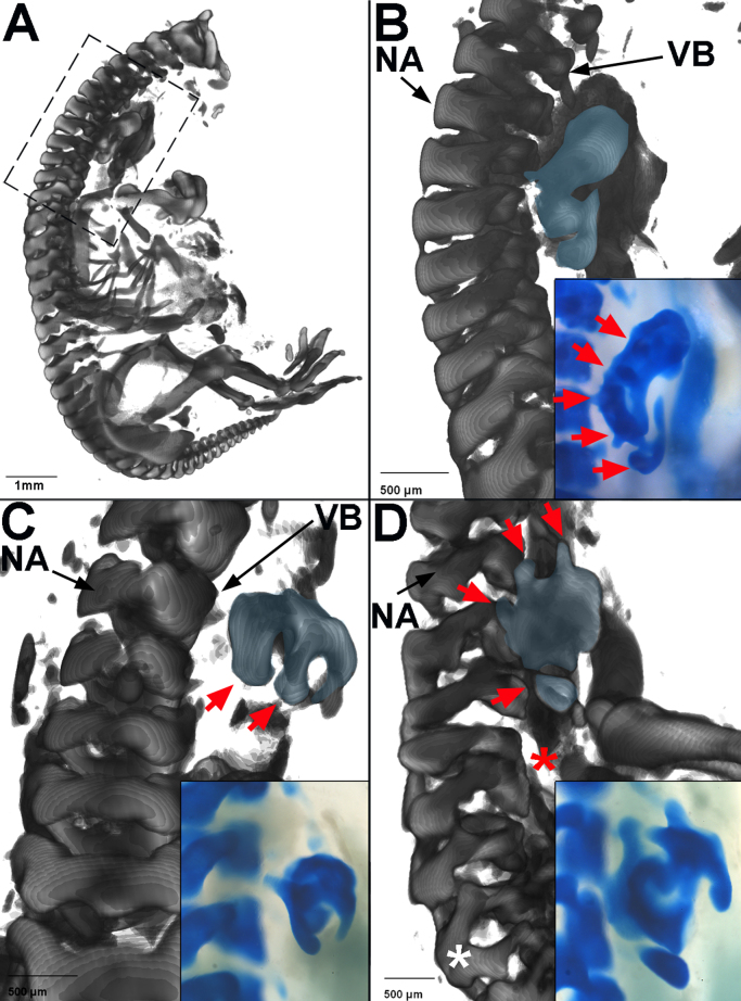 Fig. 8