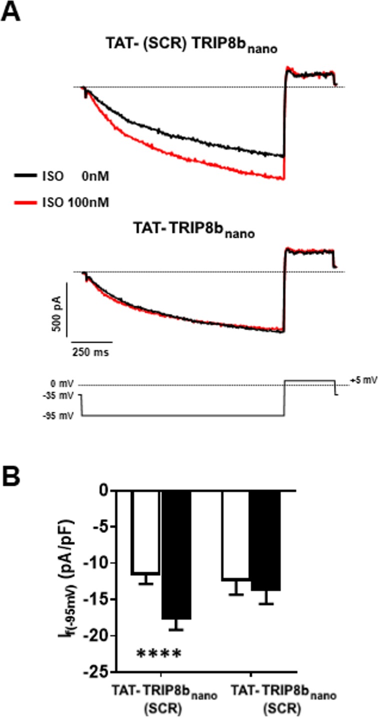 Figure 6—figure supplement 1.