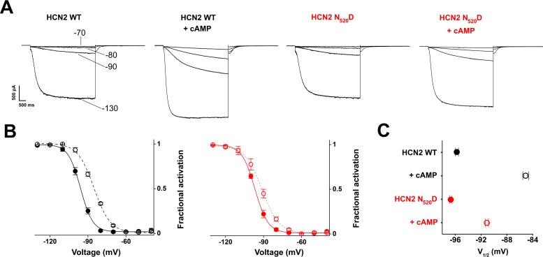 Figure 3—figure supplement 5.