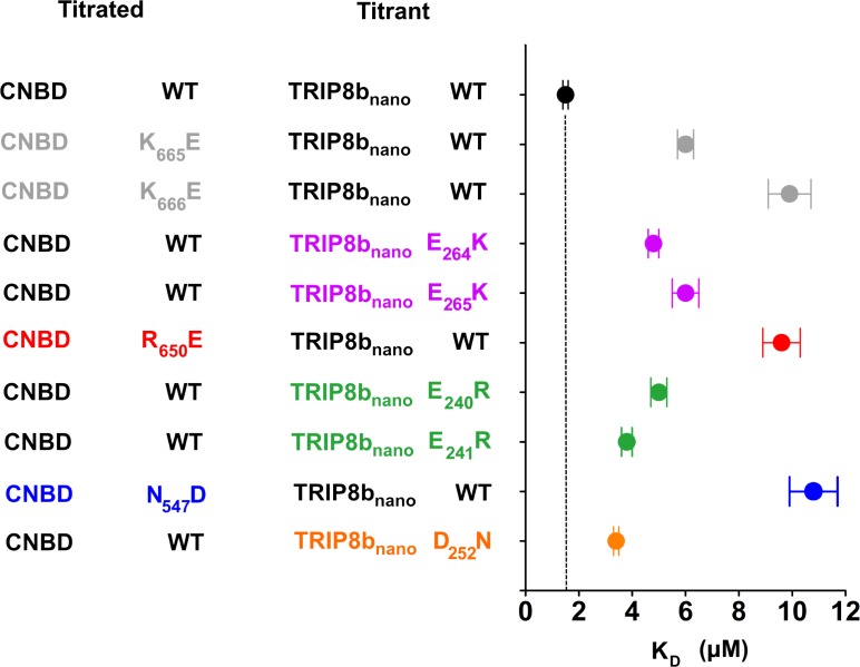 Figure 3—figure supplement 3.