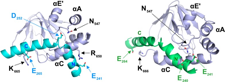 Figure 3—figure supplement 2.