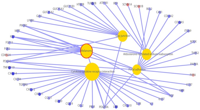 Figure 6.