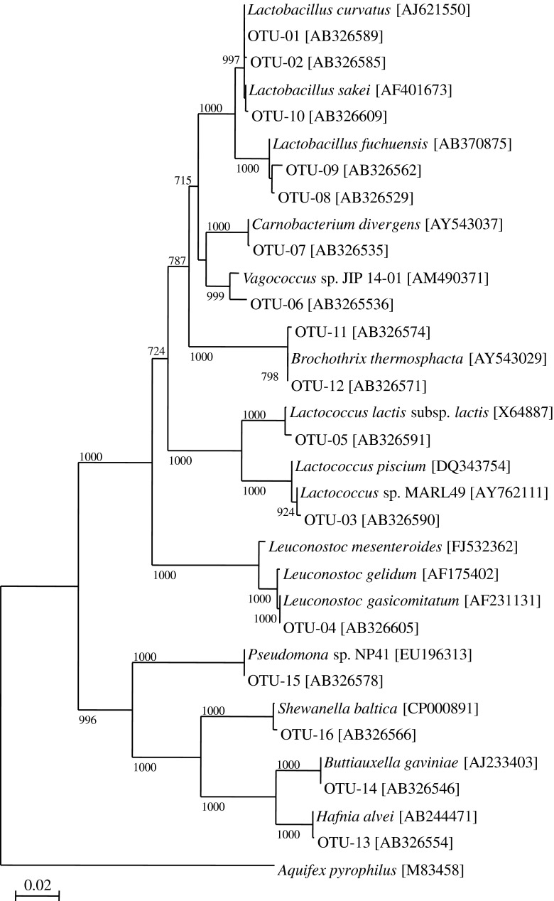 Fig. 1