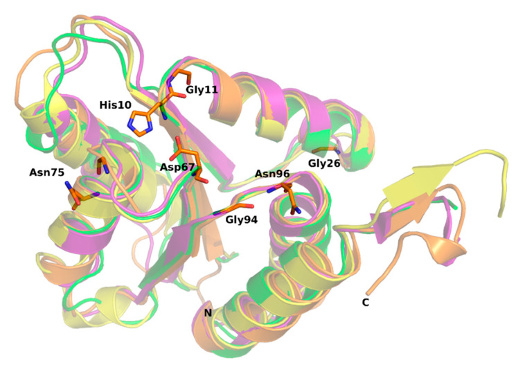 Figure 5