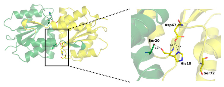 Figure 7