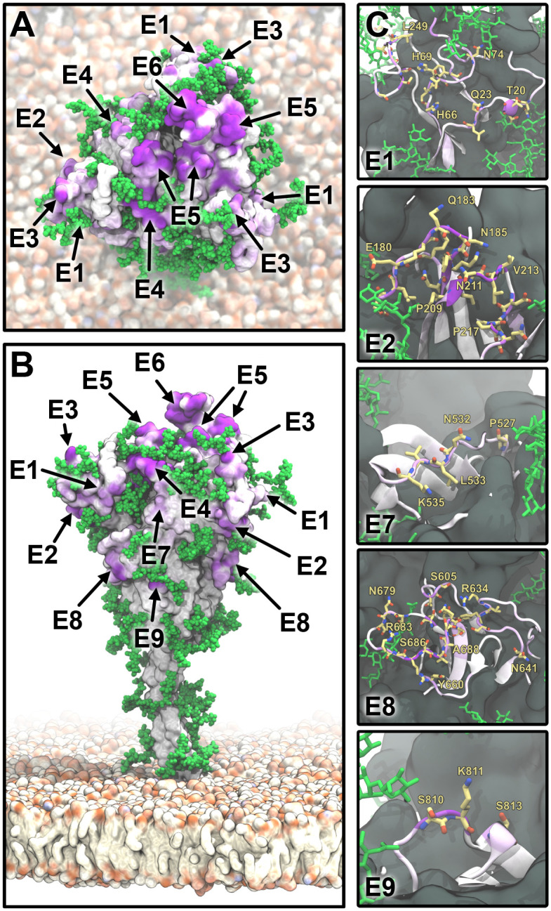 Fig 5