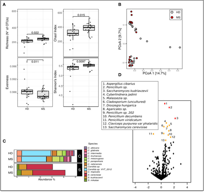 Figure 1