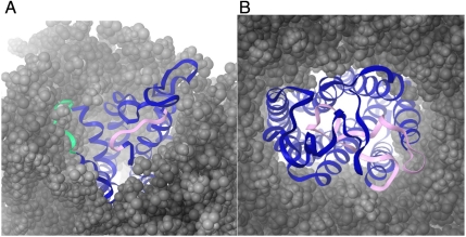 Fig. 2.