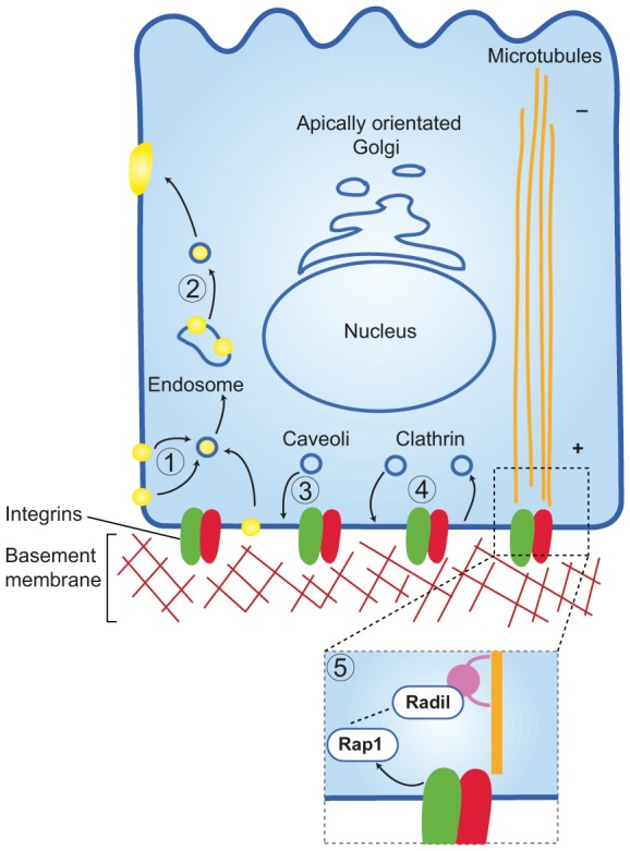 Fig. 3.