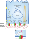 Fig. 3.