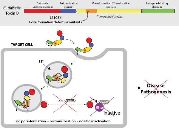 Graphical Abstract Figure.