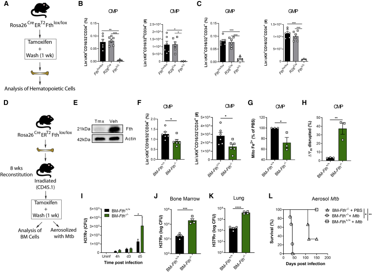 Figure 6