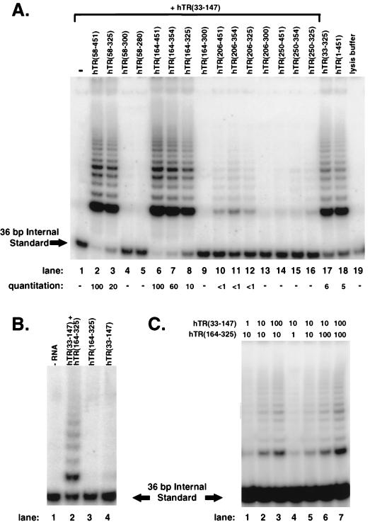 FIG. 7