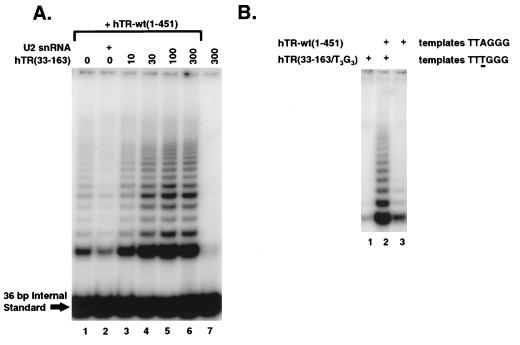 FIG. 5