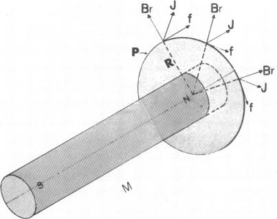 graphic file with name pnas00203-0120-a.jpg