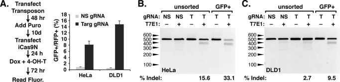 Figure 3.