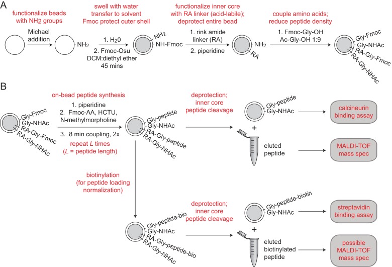 Figure 1—figure supplement 1.