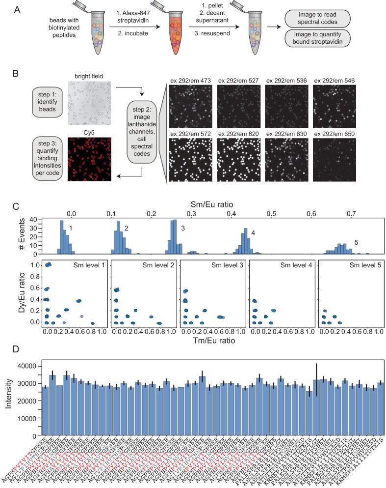 Figure 1—figure supplement 3.