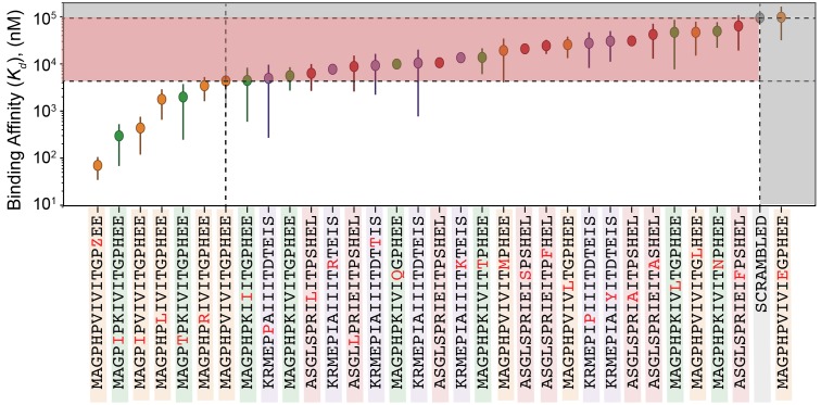 Figure 5—figure supplement 4.