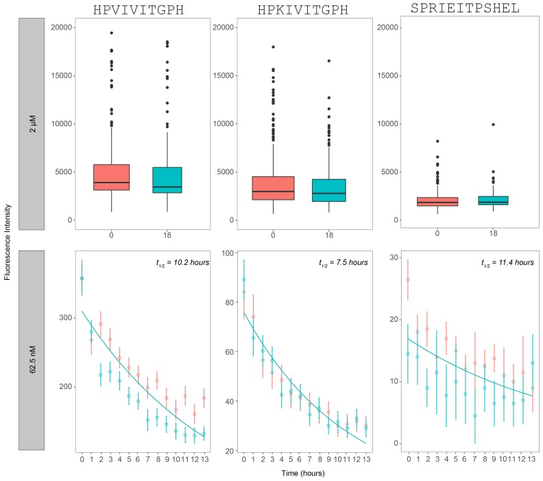 Figure 2—figure supplement 2.