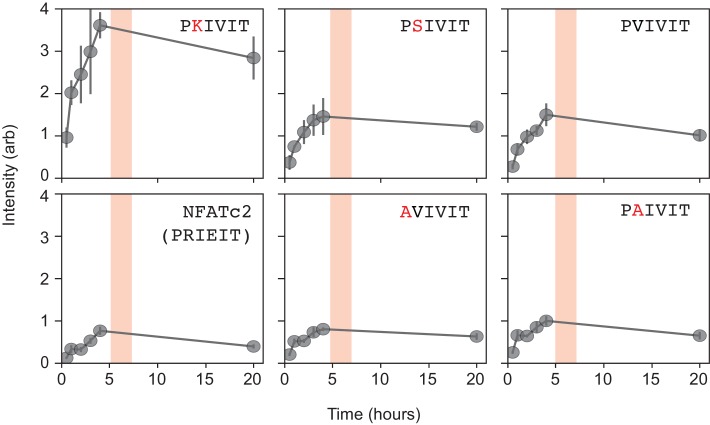 Figure 2—figure supplement 1.