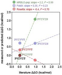 Figure 4—figure supplement 7.