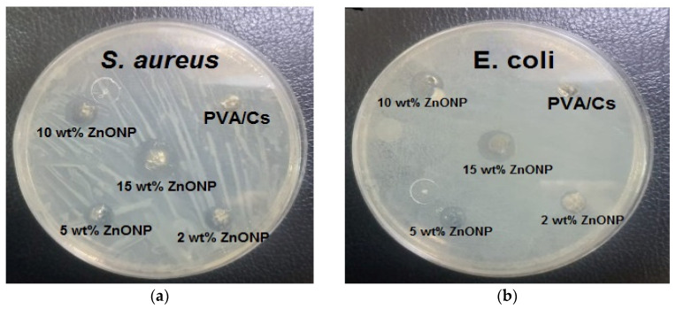 Figure 13