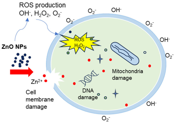 Figure 15