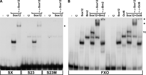 FIG. 7.