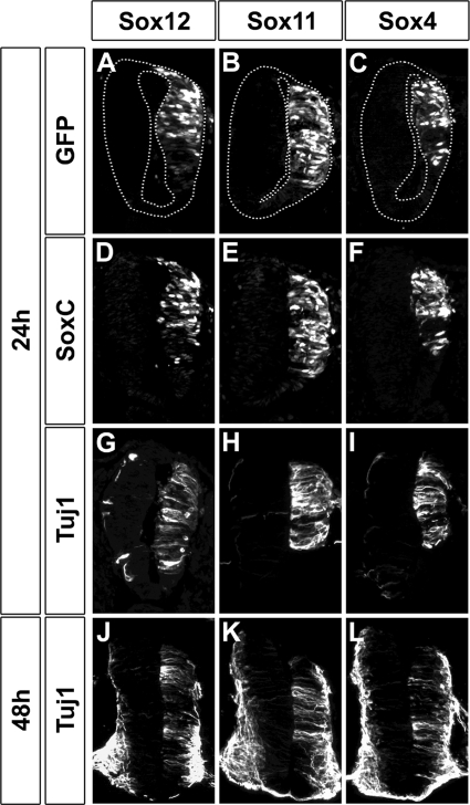 FIG. 10.