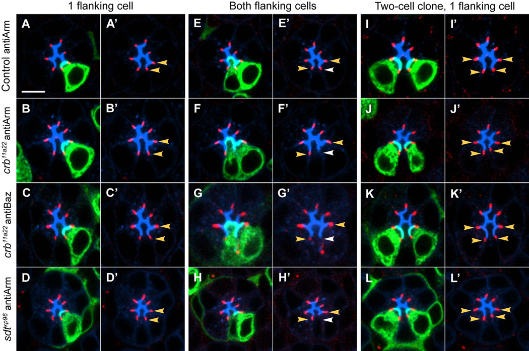 Figure 4