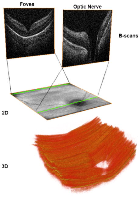 Fig. 3