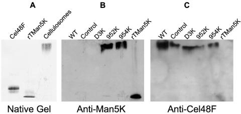 FIG. 5.