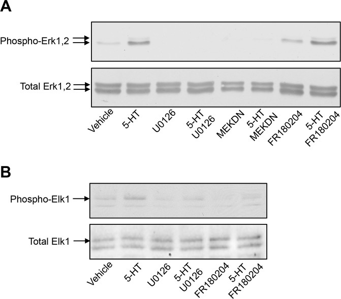 Figure 2—figure supplement 2.