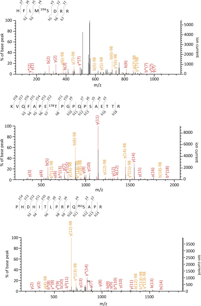 Figure 1—figure supplement 4.