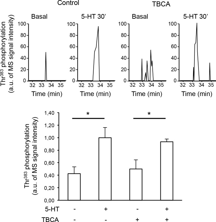 Figure 2—figure supplement 1.