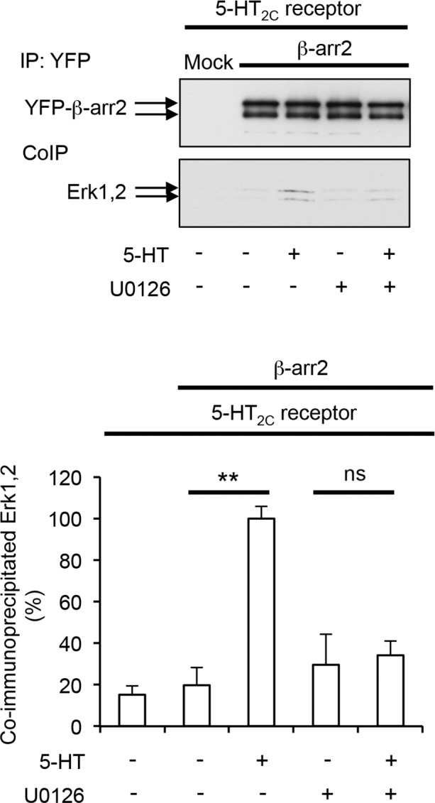 Figure 4—figure supplement 1.