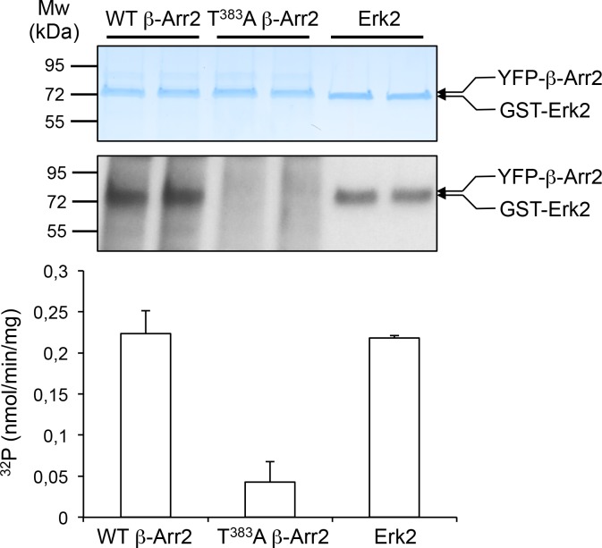 Figure 2—figure supplement 3.